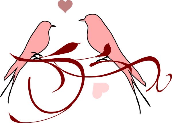 600x430 159 Best Bird Images Silhouettes And World