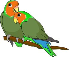 230x190 Lovebird Clipart Green Bird