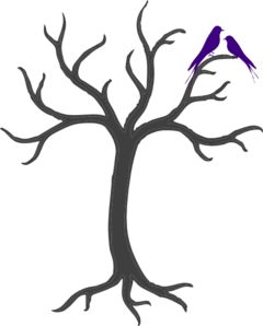 240x298 36 Best Love Birds Images Pictures, Amor And Animales