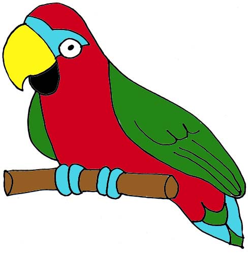 488x498 Parrot Clip Art