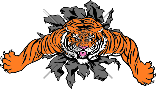 500x287 Lsu Tiger Mascot Clipart