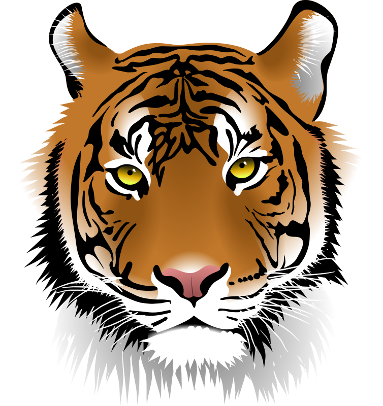 754x800 Free Tiger Clipart