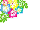 137x103 Luau Clip Art