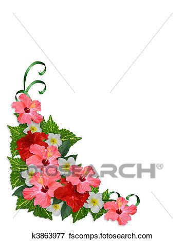 360x470 Drawing Of Tropical Hibiscus Flowers Luau Border K1990963