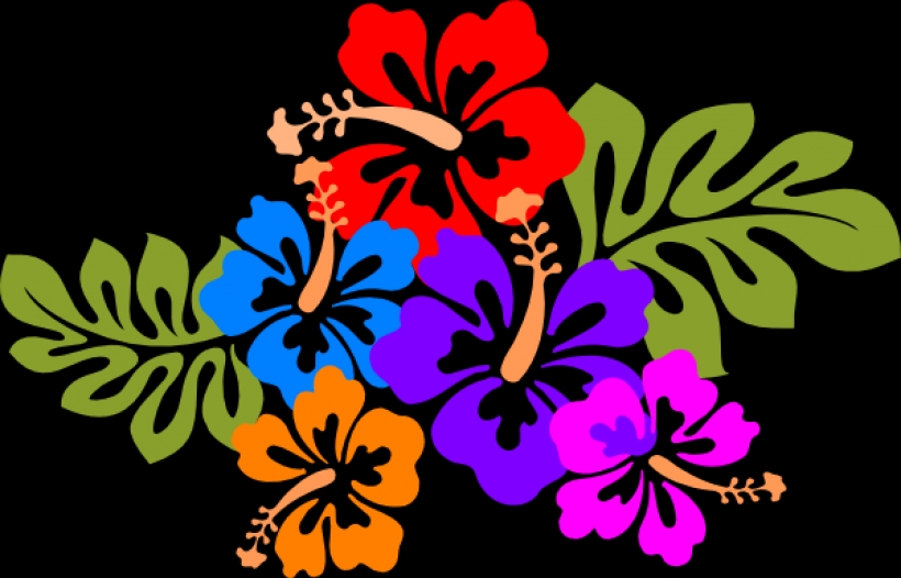 820x526 Luau Clip Art Borders Free Clipart Panda Free Clipart Imagesbest