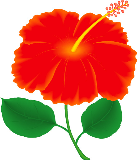 440x514 Hawaiian Flower Luau Clip Art Borders Free Clipart Images 2