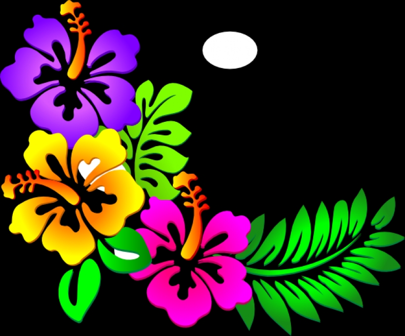 820x681 Luau Clip Art Borders Free Free Clipart Images 3 Clipartix30 Png