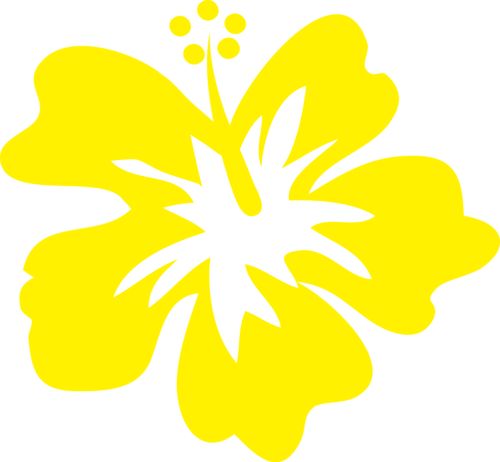 500x462 66 Best Fiesta Hawaiana Images Diy, Decorations