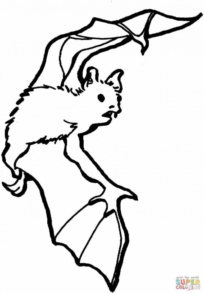805x1159 Coloring Pages Animals Coloring Page Free Printable Bat Pages