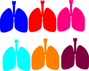 297x237 Lung Color Tika Clip Art