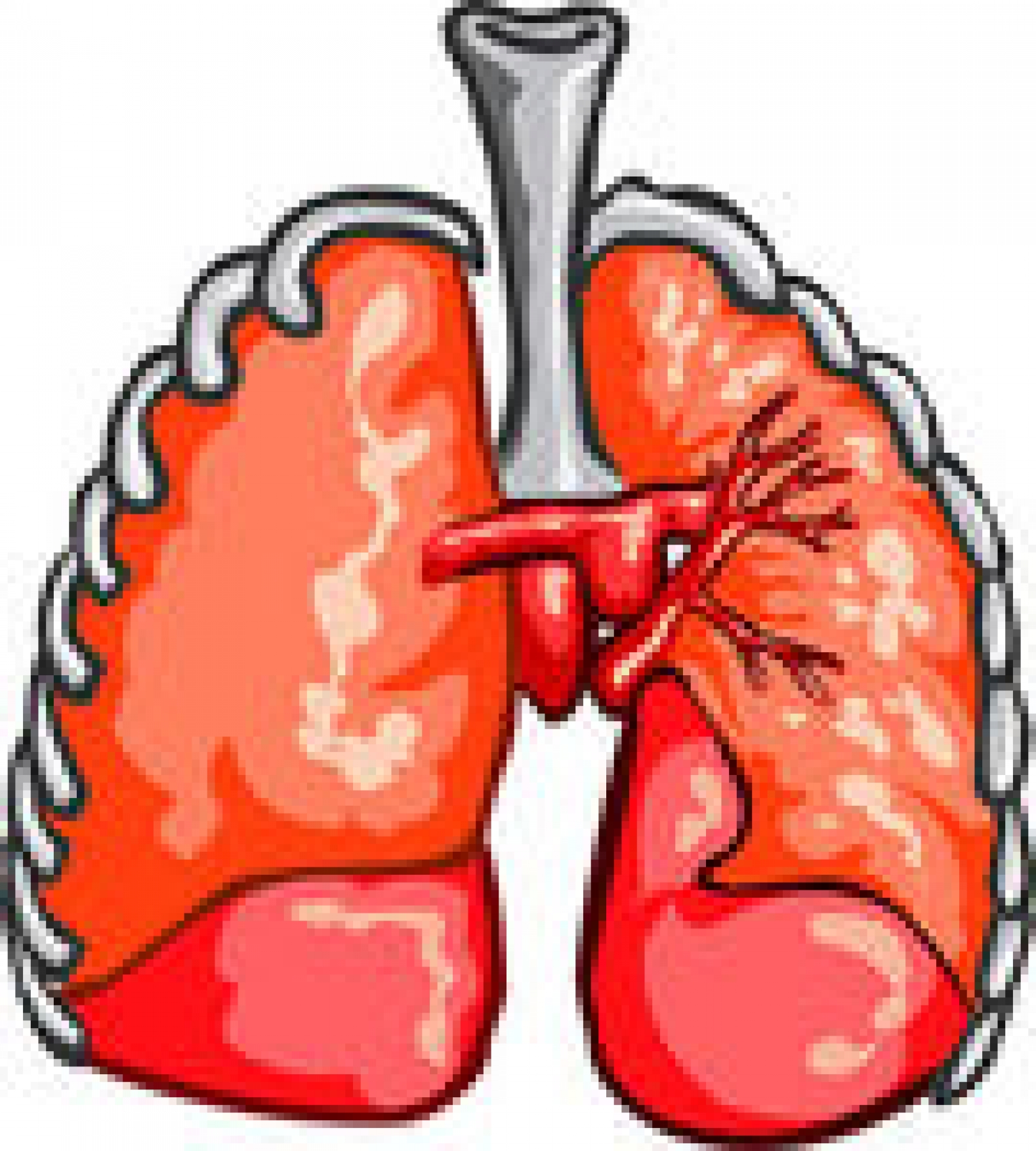 1579x1754 Oxygen 20clipart