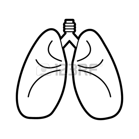 450x450 Colorful Lungs Doodle Over White Background Vector Illustration