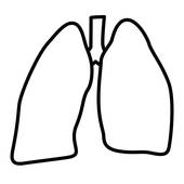 170x170 Human Lungs Clip Art