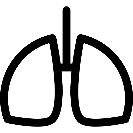 512x512 Human Lungs Outline