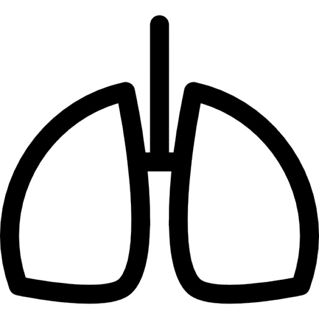 626x626 Human Lungs Outline Icons Free Download