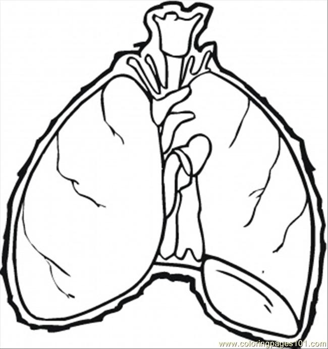 650x693 Lungs Coloring Page