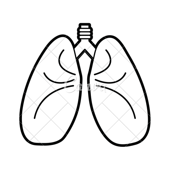 550x550 Lungs Vector Illustration