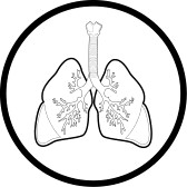 168x168 Vector Lungs Icon Black And White Simply Change Free Images