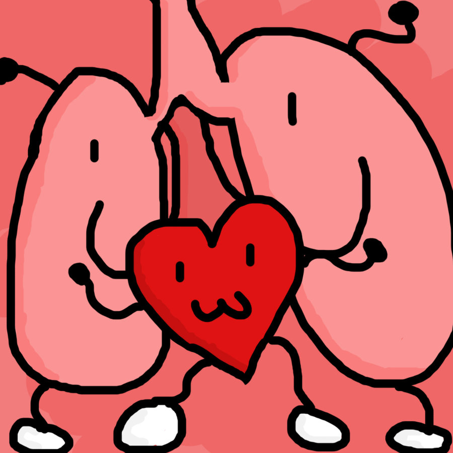 900x900 Heart And Lungs Clip Art Cliparts