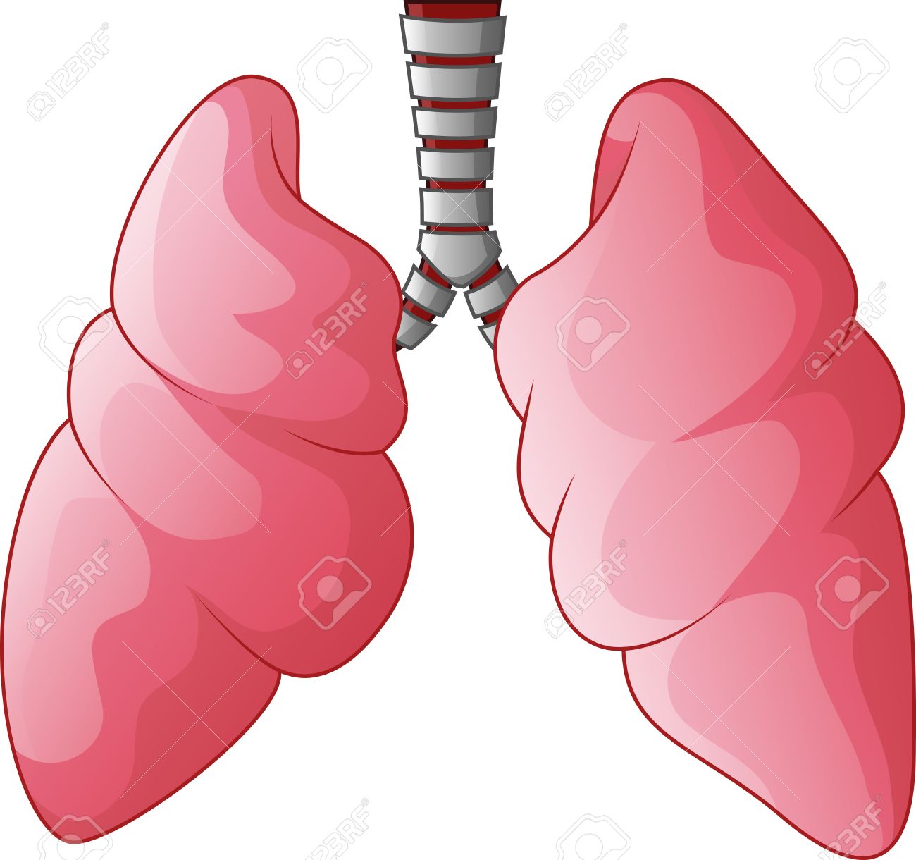1300x1220 Human Lungs Respiratory Cartoon Royalty Free Cliparts, Vectors