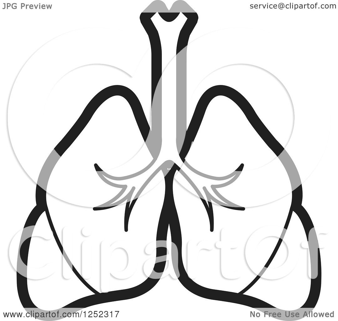 1080x1024 Lungs Clipart Black And White