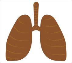 236x206 Human Eye Clip Art Clipart Panda