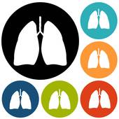 170x170 Human Lungs Clip Art