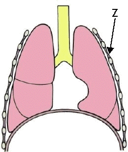 260x308 Junior Cert Science