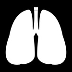 150x150 Lungs Silhouette