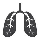 170x170 Pulmonology Clip Art