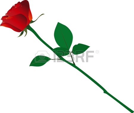 450x381 233,047 Rose Cliparts, Stock Vector And Royalty Free Rose