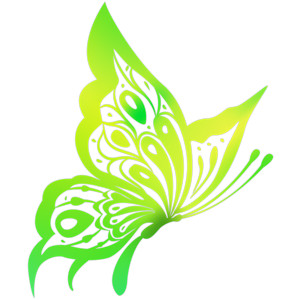 300x300 Transparent Background Clipart