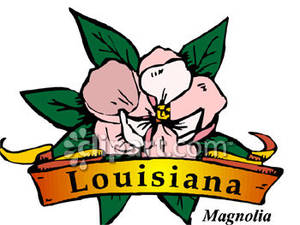 300x225 Flower Of Louisiana, The Magnolia Royalty Free Clipart Picture