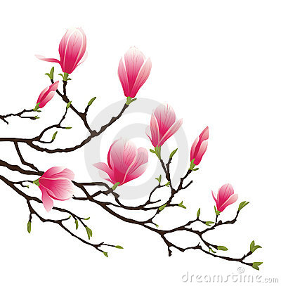 400x407 Magnolia Flower Clip Art Clipart Panda