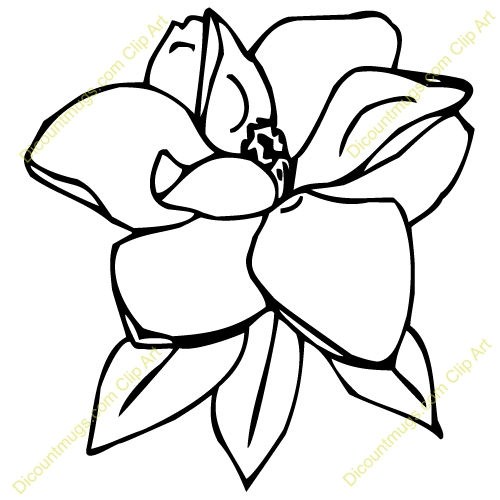 500x500 Magnolia Flower Clip Art Clipart Panda Free Clipart Images