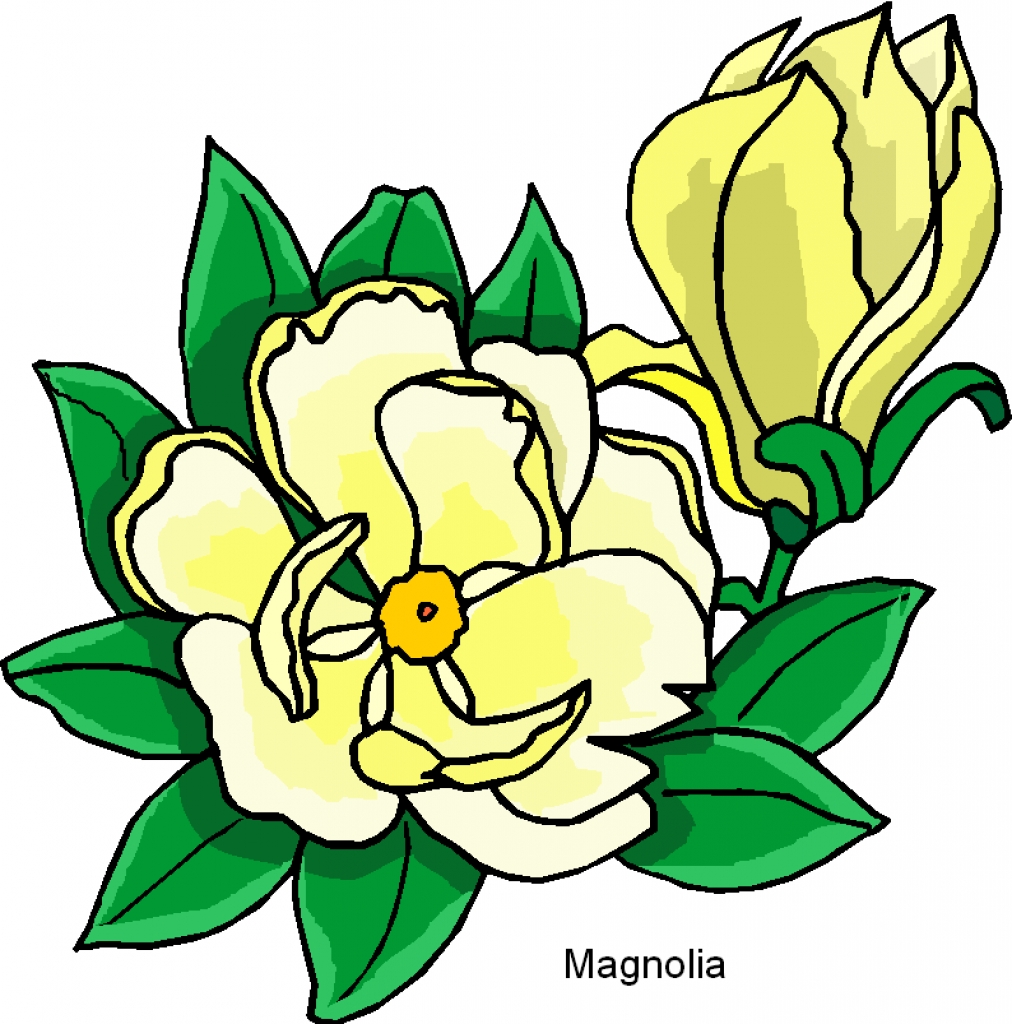 1012x1024 Magnolia Flower Clip Art Clipart Panda Free Clipart Images