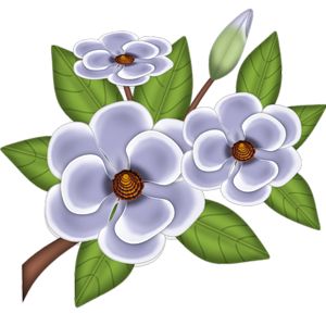 300x300 132 Best Flower Images Drawings, Flowers And Spring
