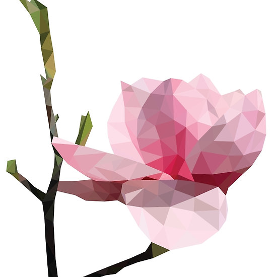 550x550 Low Poly Pink Magnolia Flower Kvety Flowers