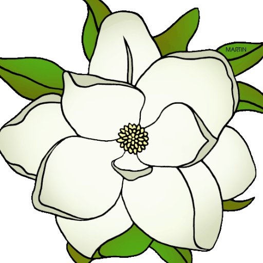 512x512 Mr Magnolia (@thunder Socks) Twitter