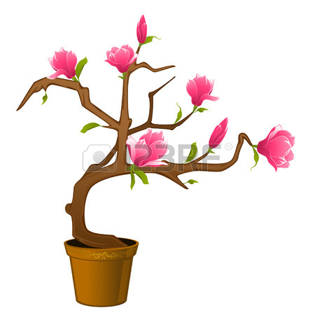450x450 3,781 Magnolia Flower Stock Illustrations, Cliparts And Royalty
