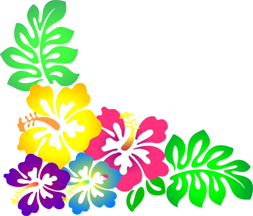 844x720 Hawaiian Luau Png Transparent Png Images. Pluspng