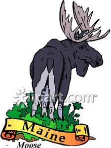 225x300 Animal Of Maine, The Moose Royalty Free Clipart Picture
