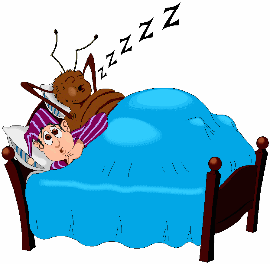 893x873 Black Anchor Clipart