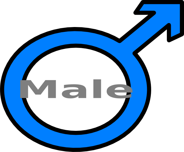 600x495 Blue Male Symbol Clip Art