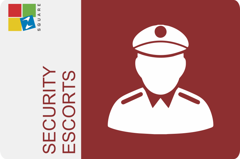 800x530 Services Zsquare Website