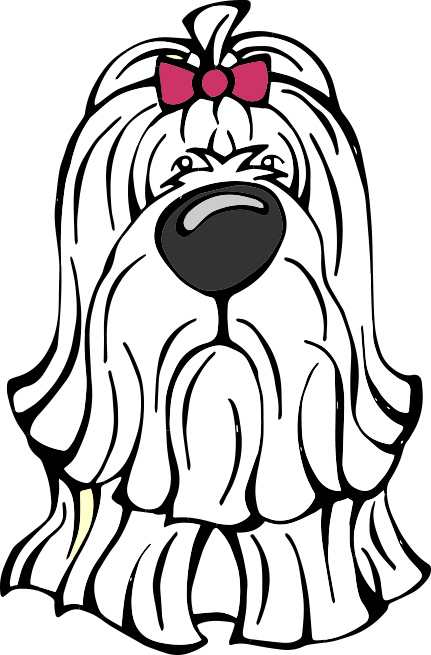 431x655 Dog Of The Day Maltese Angry Squirrel Studio