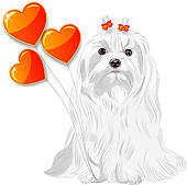 170x169 Maltese Clip Art