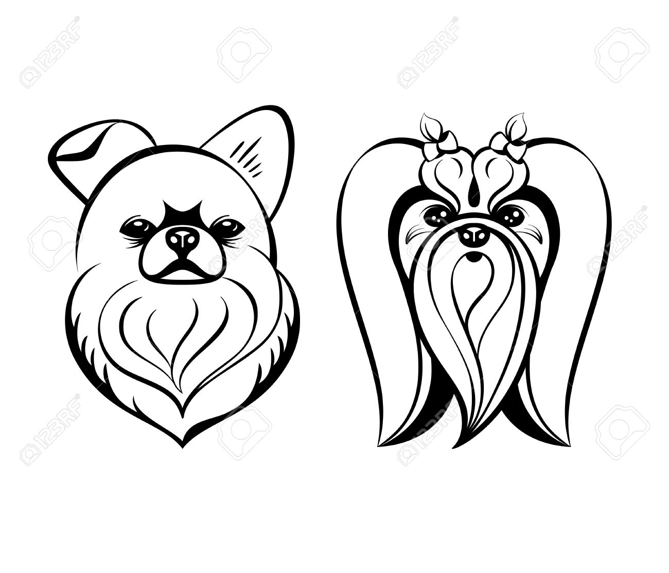 1300x1114 Maltese Dog Heads Contour Drawing Isolated Royalty Free Cliparts