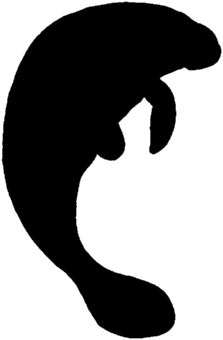 444x678 Manatee Clip Art