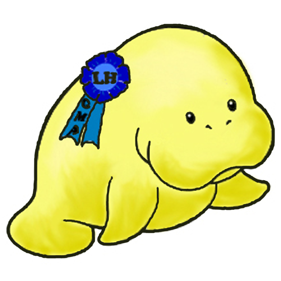 917x917 Manatee Clip Art Chadholtz